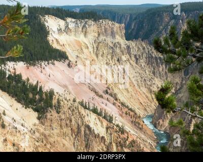 Yellowstone NP, Wyoming: Canyon di Yellowstone dal North Rim Drive Foto Stock