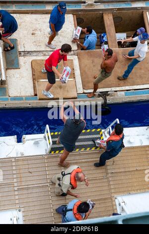 Visualizza il modulo a bordo della nave da crociera Pacific Princess ormeggiata a Bounty Bay presso le isole Pitcairn, che è un piccolo gruppo di isole essendo un inglese Overse Foto Stock