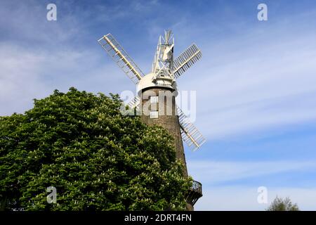 Molton torre mulino a vento, Molton villaggio, Lincolnshire, Inghilterra il più alto mulino torre in Gran Bretagna. Foto Stock