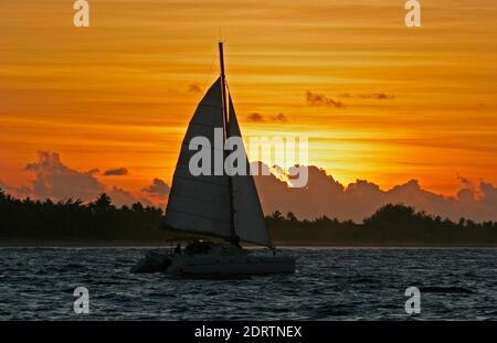 Catamarano bij zonsondergang, catamarano in sunset Foto Stock