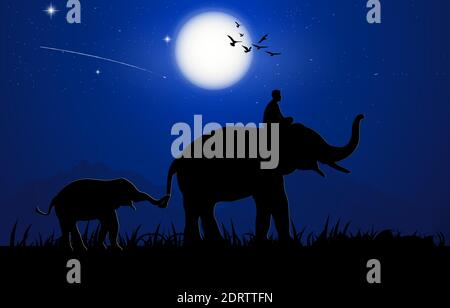 Immagine di silhouette elefante nero che cammina nella foresta con la montagna E Luna sfondo luce notturna vettore Illustrazione Illustrazione Vettoriale