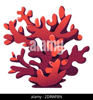 Alghe della barriera corallina rossa per l'acquario o per il subacqueo Illustrazione Vettoriale