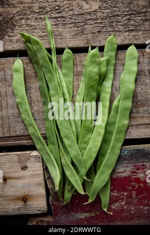 Fagioli Runner acquistati da un supermercato nel Regno Unito. Inghilterra GB Foto Stock