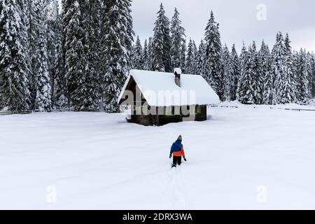 Ragazzo che cammina nella neve profonda fino a una tradizionale capanna di legno in un prato alpino coperto di neve nelle alpi Giulie in inverno, Pokljuka, Slovenia Foto Stock