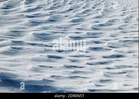 Chiusura del vento modelli scolpita nella neve fresca Foto Stock