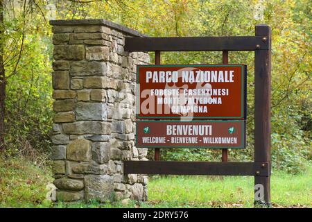 Il Parco Nazionale delle foreste Casentinesi, Monte Falterona, Campigna è un parco nazionale italiano. Foto Stock