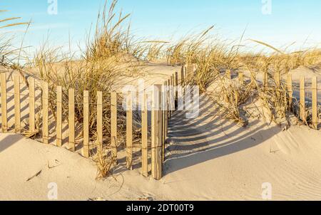Immagine dettagliata della recinzione sulla spiaggia a Coopers Beach, Southampton, NY Foto Stock