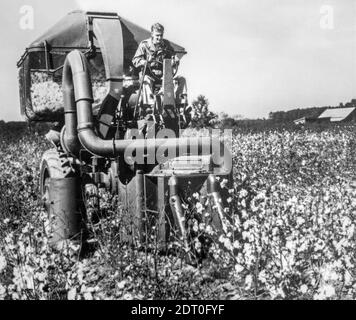 1950 foto d'archivio in bianco e nero che mostra la raccolta meccanica di cotone / stripper raccolta campo di cotone, Stati Uniti Foto Stock
