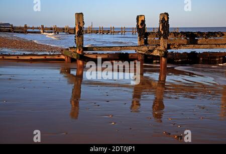 Una rottura di legno decadente sulla spiaggia di Norfolk del nord a Cart Gap, Happisburgh, Norfolk, Inghilterra, Regno Unito.disreparazione Foto Stock