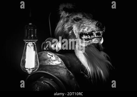 Cyber Wolf dallo spazio al buio. Bianco e nero Foto Stock