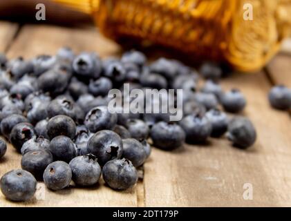 Mirtilli bacche fresche sparse su tavole di legno. I mirtilli appena raccolti fuoriescono dal cestello Foto Stock