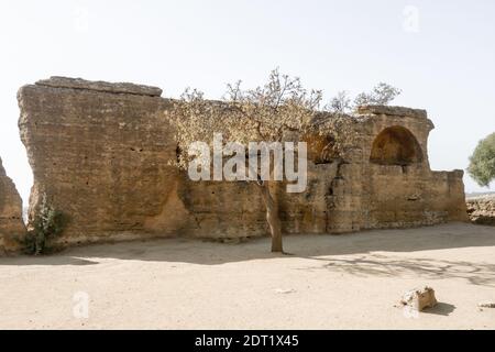 Tombe arcosolium scolpite da una cresta di pietra per le prime sepolture cristiane sono state trovate nell'antica città di Akragas alla Valle dei Templi. Foto Stock