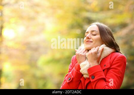 Donna di bellezza in giacca rossa riscaldamento sciarpa afferrare in un parco in autunno Foto Stock