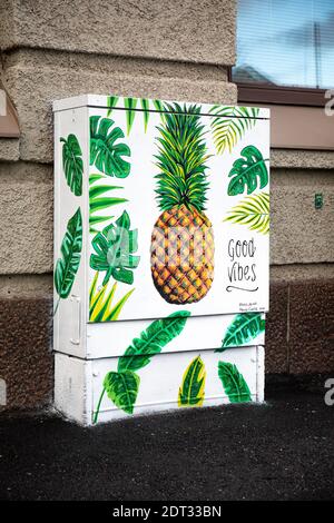 Buone vibes. Murale di ananas su chiusura elettrica nel distretto di Töölö di Helsinki, Finlandia Foto Stock