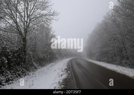 Pericoloso tratto di strada su una mattina invernale nebbiosa. Foto Stock