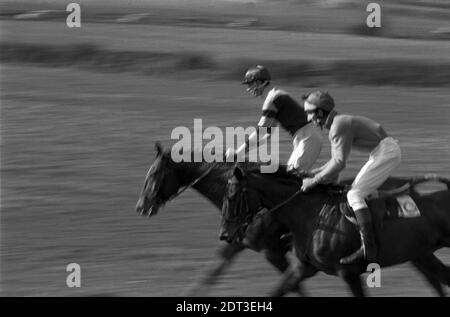 Regno Unito, Inghilterra, Devonshire, Buckfastleigh, 1972. Le gare Point-to-Point si sono svolte a Dean Court sulle paludi Dean, vicino alla A38 tra Plymouth ed Exeter. Due piloti concorrenti hanno dato un'impressione di velocità nella fotografia. Foto Stock
