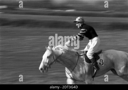 Regno Unito, Inghilterra, Devonshire, Buckfastleigh, 1972. Le gare Point-to-Point si sono svolte a Dean Court sulle paludi Dean, vicino alla A38 tra Plymouth ed Exeter. Un pilota concorrente. Foto Stock
