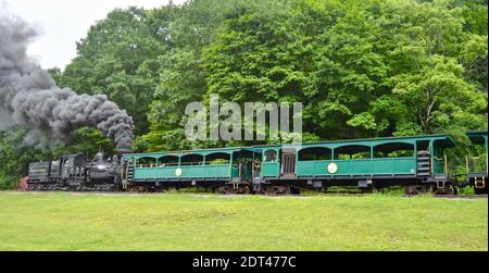 Treno passeggeri a vapore sulla Ferrovia Scenic di Cass Foto Stock