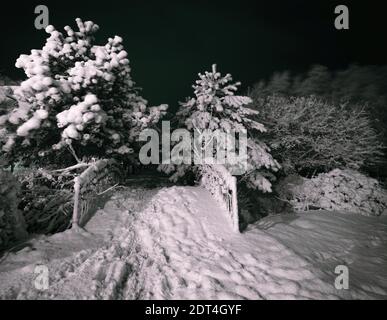 ponte nel vicolo del parco durante la notte d'inverno Foto Stock