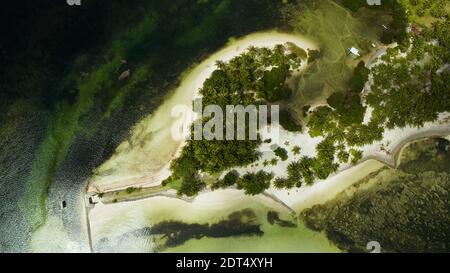Vista aerea: Spiaggia di sabbia tropicale con palme e acqua blu. Concetto di vacanza estiva e di viaggio. Siargao, Filippine. Foto Stock