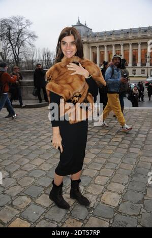 Carine Roitfeld arriva alla mostra della collezione Chanel Primavera-Estate 2014 Haute-Couture che si tiene al Grand Palais di Parigi, Francia, il 21 gennaio 2014. Foto di Alban Wyters/ABACAPRESS.COM Foto Stock