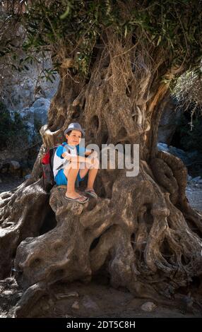 Vista frontale del ragazzo seduto su un tronco d'albero Foto Stock