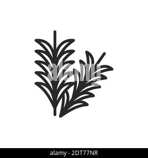 Icona di colore nero del ramo del rosmarino. Erbe e spezie. Illustrazione vettoriale Illustrazione Vettoriale