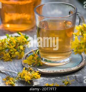 Erba comune di San Giovanni, erba perforata di San Giovanni, erba di klamath, erba di San Giovanni (Hypericum perforatum), tè di erba di San Giovanni, Germania Foto Stock