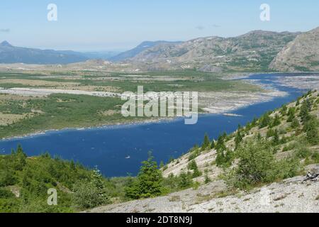 Spirit Lake con i gommoni di alberi di log soffiati in eruzione del 1980, Mount St. Helens National Volcanic Monument, Washington Foto Stock