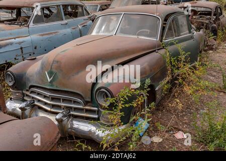 liquidazione di un Albuquerque, New Mexico auto junkyard Foto Stock