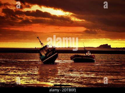 Bassa marea all'alba nel porto di Lindisfarne sull'isola Santa Foto Stock