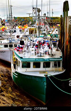 Immagine verticale di imbarcazioni caricate con boe dai colori vivaci e trappole di aragosta al molo durante la bassa marea in Alma Albert County New Brunswick Canada Foto Stock
