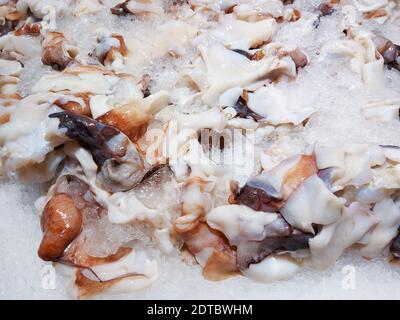 polpo affettato su ghiaccio nel mercato, calamari freschi crudi, seppie frutti di mare Foto Stock