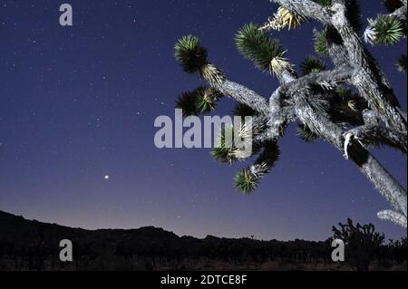 Mojave National Preserve, California, Stati Uniti. 21 Dic 2020. I pianeti Giove e Saturno sono visti insieme, all'orizzonte a sinistra, in quella che viene chiamata la Grande congiunzione il 21 dicembre 2020 nella Riserva Nazionale di Mojave, California. Questo è il più vicino che i due pianeti sono stati visti insieme nel cielo per quasi 800 anni. Una congiunzione astronomica si verifica quando due corpi celesti sembrano passare o incontrarsi l'uno con l'altro come visto dalla Terra. Credit: David Becker/ZUMA Wire/Alamy Live News Foto Stock