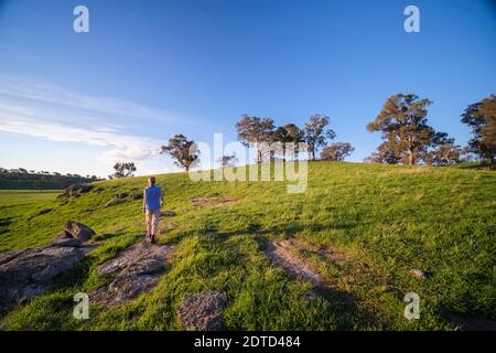 Australia, New South Whales, Kandos, Donna trekking nel paesaggio Foto Stock