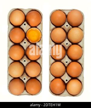 Uova di pollo in una scatola di cartone da 10 pezzi Foto Stock