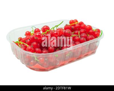 Ribes rosso fresco in un vassoio su sfondo bianco Foto Stock