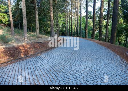 Parco con alberi e un lungo e curvo percorso acciottolato in salita in autunno Foto Stock