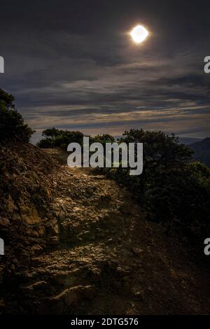 Il Monte Tamalpais State Park, California Foto Stock