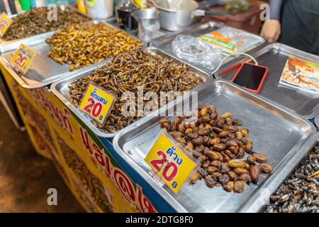 Phuket, Thailandia - 17 dicembre 2020 - insetti commestibili fritti in vendita al mercato di Chillva, una strada pedonale a Phuket, Thailandia il 17 dicembre 2020 Foto Stock