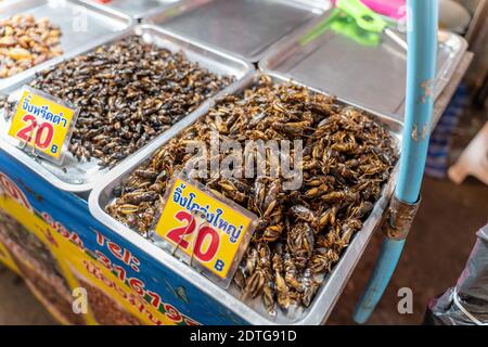 Phuket, Thailandia - 17 dicembre 2020 - insetti commestibili fritti in vendita al mercato di Chillva, una strada pedonale a Phuket, Thailandia il 17 dicembre 2020 Foto Stock