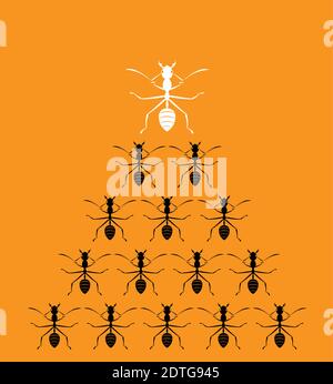 Immagine vettoriale di una formiche su sfondo arancione. Concetto di leadership Illustrazione Vettoriale