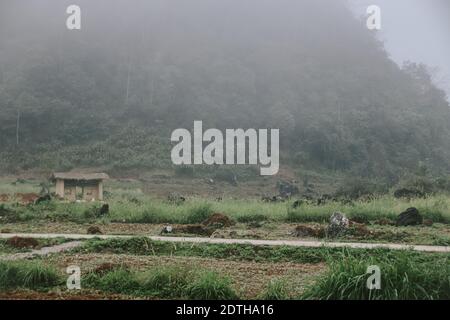 Montagne carsiche in Dong Van Karst Plateau Geopark a ha giang, Vietnam Foto Stock