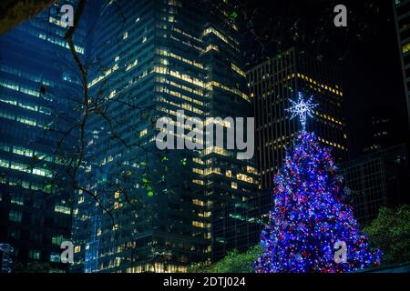 Un edificio alto e moderno con finestre illuminate e luminosi Albero di Natale decorato di fronte Foto Stock