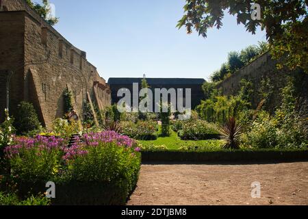 Fiori che fioriscono nel giardino di rose di Eltville, castello tedesco in una giornata estiva. Foto Stock