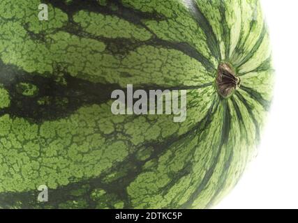 Cocomero, citrullus lanatus contro sfondo bianco Foto Stock