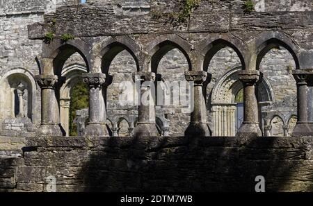 Le rovine dell'ex abbazia agostiniana di Cong sono un sito storico situato a Cong Mayo, in Irlanda Foto Stock