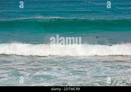 Spagna, Isole Canarie, Fuerteventura, El Puerto de Los Molinos, surfista nell'oceano atlantico in attesa di un'onda perfetta Foto Stock