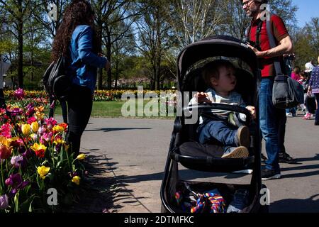 PAYS-BAS - TOURISME - KEUKENHOF Tourisme au Chateau de Keukenhof au Pays-Bas, Grand jardin de fleurs et en particulier de tulipes. PAESI BASSI - TOURI Foto Stock