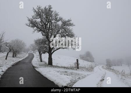 Un primo piano di strade pulite e innevate, campagna invernale in nebbia Foto Stock